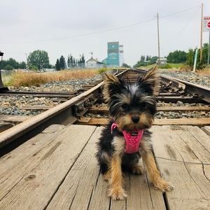 Meet your Posher, Shauna